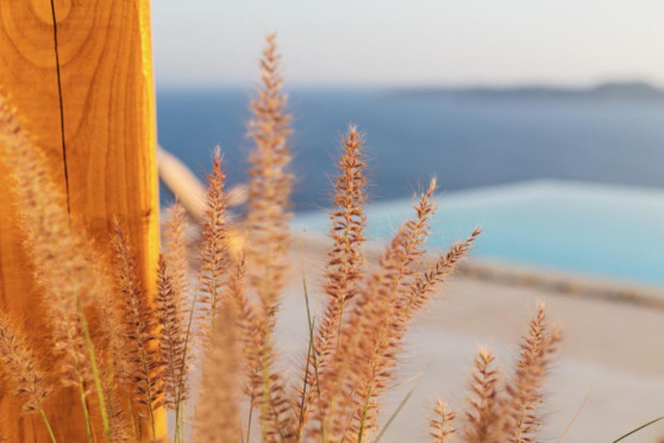 Birdhouse Private Luxury Suite Agios Ioannis Diakoftis ภายนอก รูปภาพ